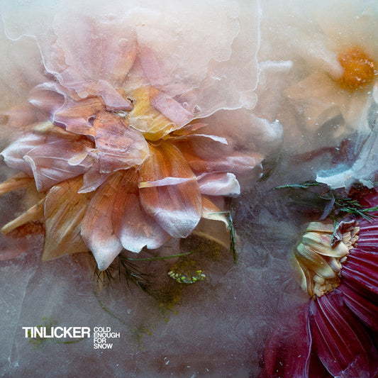 Tinlicker - Cold Enough For Snow