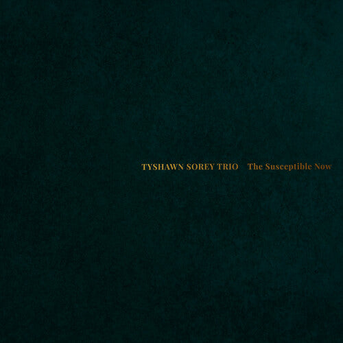 Tyshawn Sorey Trio - The Susceptible Now
